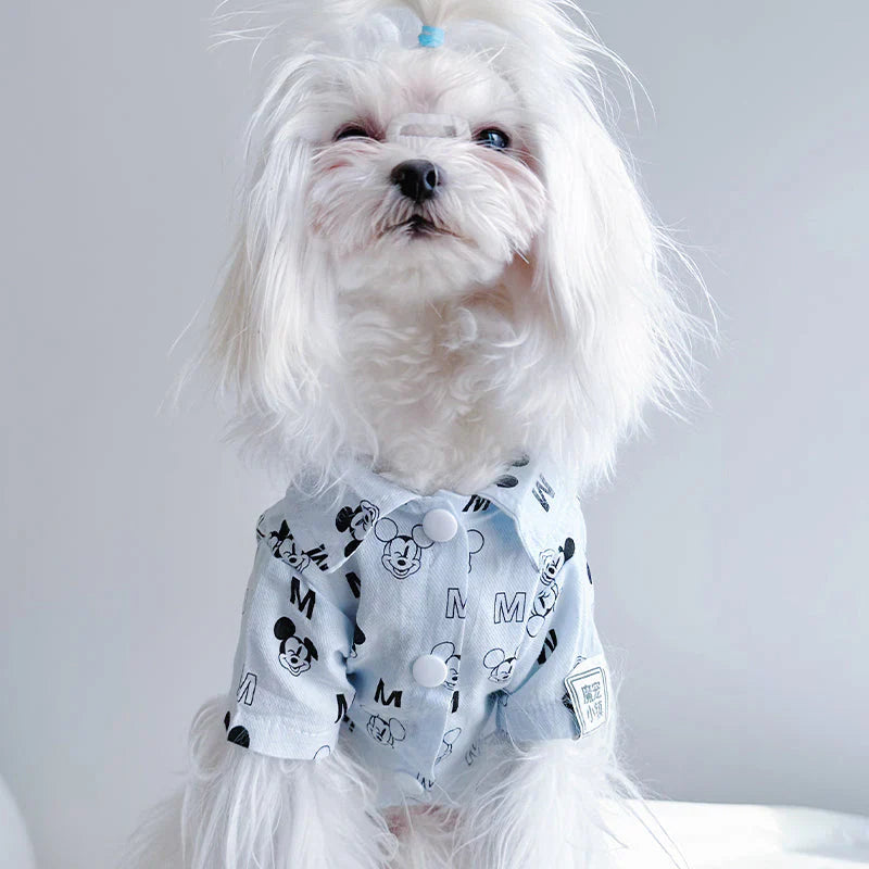 Shirts, Tees & Sweatshirt