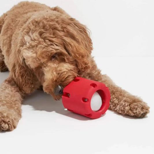 Dear Doggo Hours Of Fun Tennis Tumble Dog LitToy