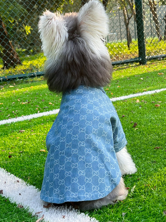 Pet Dog Snatched Clothes