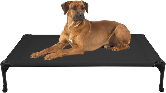 Large dog resting on elevated breathable cooling bed