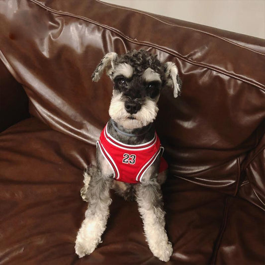 Legends Classic Doggo Whimsical Jersey