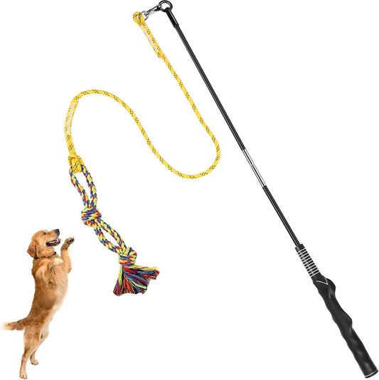 Interactive Dog Flirt Pole for Chase Training