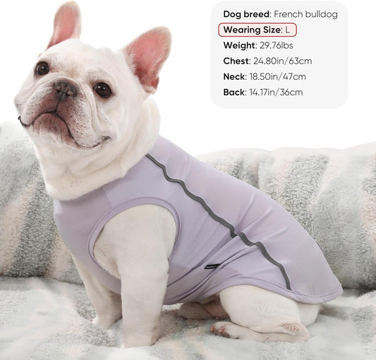 3-Pack Dog Cooling Shirt I UV Protection Reflective