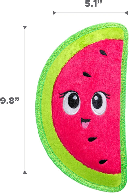 Squeaky Watermelon Toy for Tough Chewers