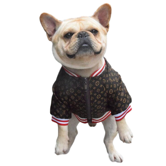 LV Zip Up Bomber Doggo Fresh Jacket
