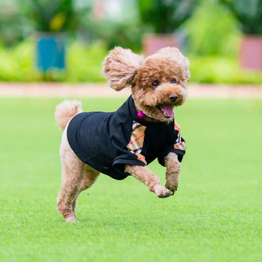 Black Plaid Panel Dog Shirt