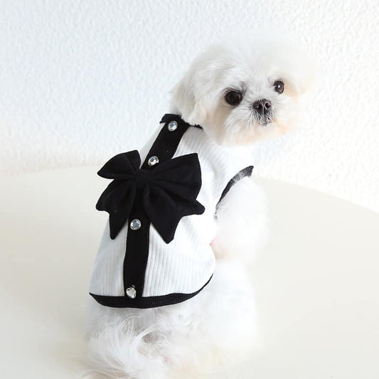 Designer Tiny Dog Rewind Clothes