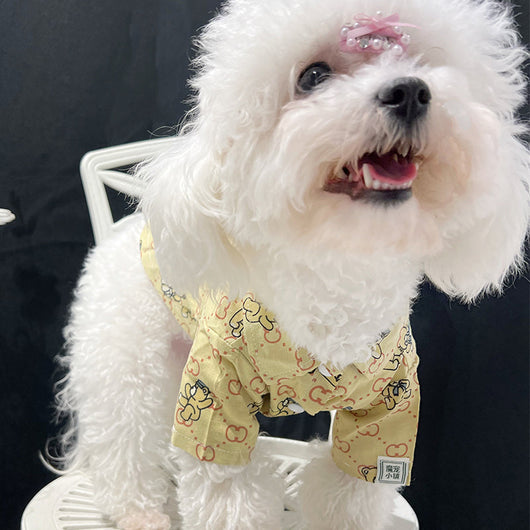Pet Dog LitClothes
