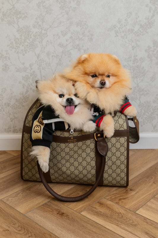 GG Trendy Posh Bag