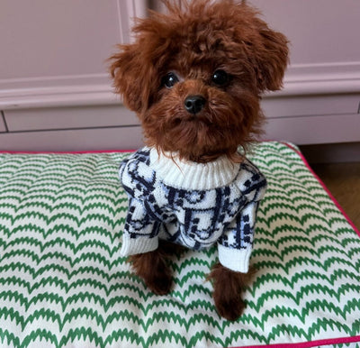 DD  Monogram Dog Lit Sweater