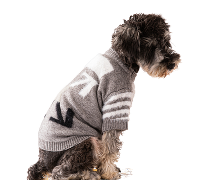 Offdog Lit Pullover