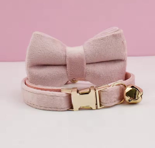 Velvet Charme Collars And Bow Fresh Ties