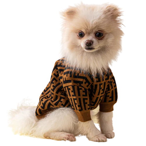 Fency Dog Layered Sweater
