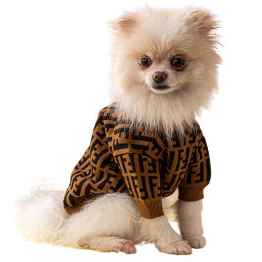 Fency Dog Rewind Sweater