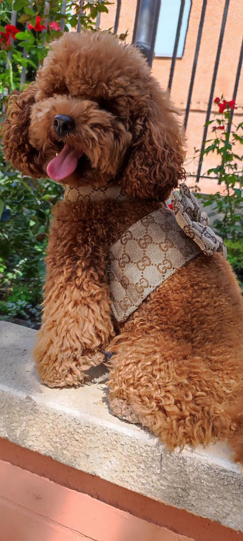 Pomy Bow Fire Harness