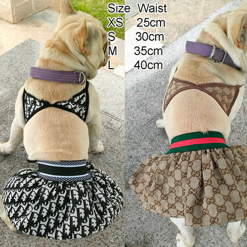 Canine Coastline Dog Beach Fire Wear