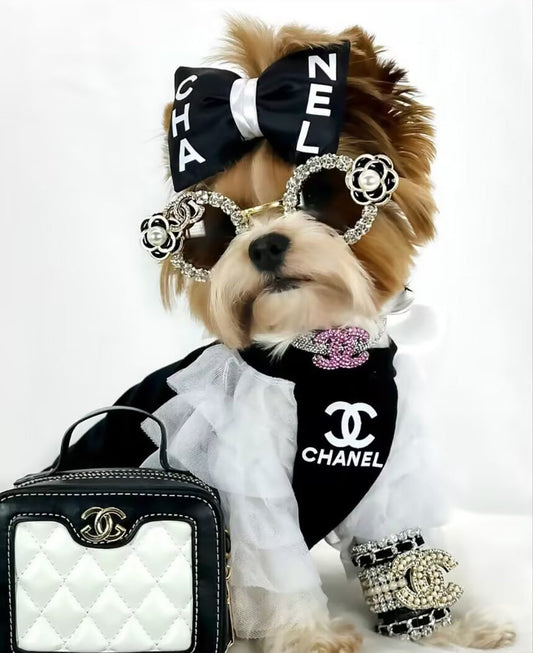 CC Starry Pup FancyDress