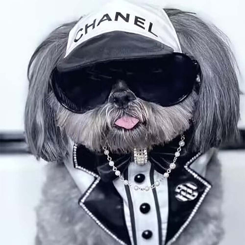 CC Doggo Lux Cool Edgy Cap