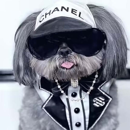 CC Doggo Lux Cool Edgy Cap