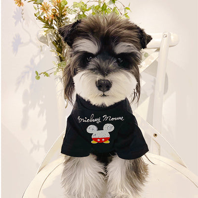 Dog Fresh Air Matching Clothes