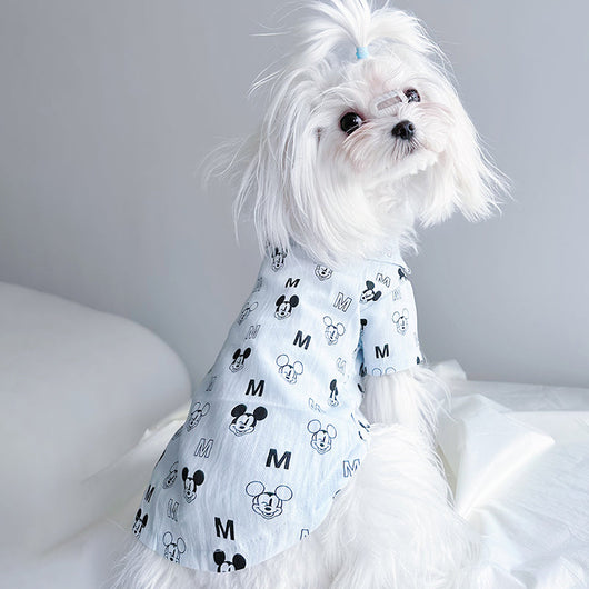 Big Dog Happy Summer Breeze Shirt