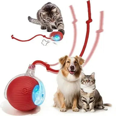 CozyDogo™ Self-Moving Dog Ball Toy