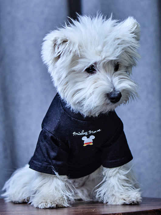 Dog Fresh Air Matching Clothes