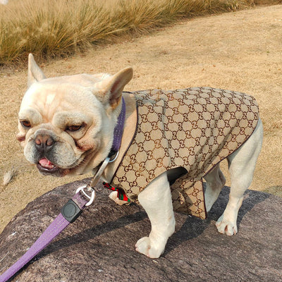 GG Pup Summer Vibrant Vest