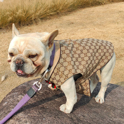 GG Pup Summer Vibrant Vest