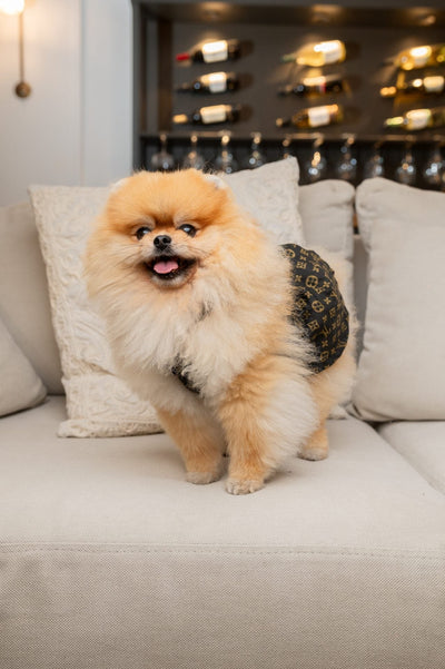 LV Pup Monogram Dreamy Dress