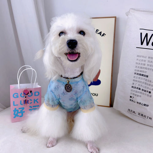 Doggy Fancy Blue Hype Dusty Shirt