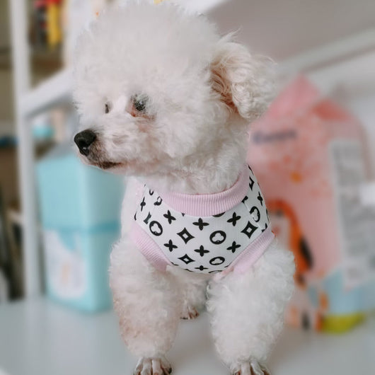Doggo Summer Lace Flash Skirt