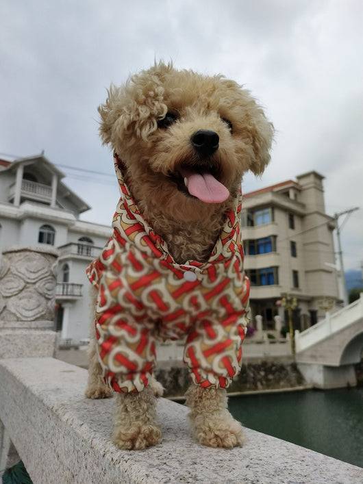 Luxury Cool Drip Crisp Jacket