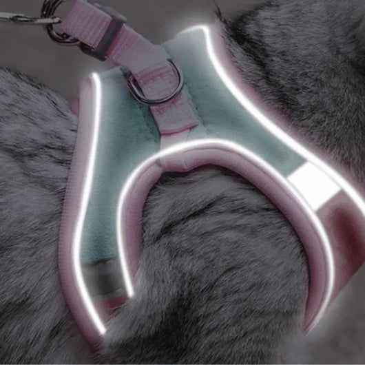 CozyDogo™ Cat Harness + Leash