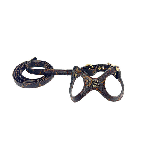Chowchow High Quality Leather Harness & Leash Prime Set