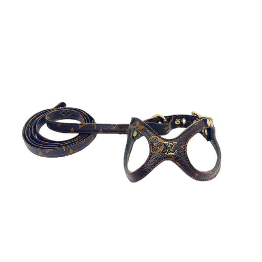 Chowchow High Quality Leather Harness & Leash Prime Set