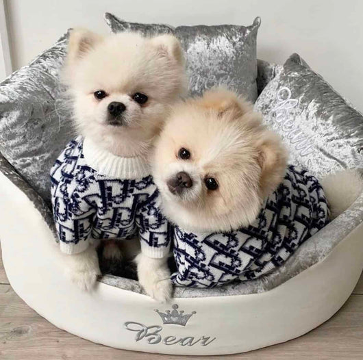 DD  Monogram Dog Lit Sweater