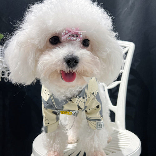 Pet Dog Lit Clothes