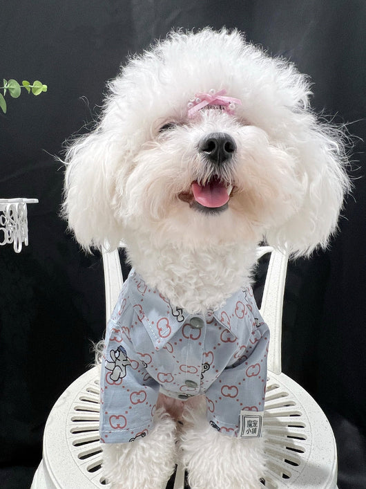 Pet Dog Fresh Clothes