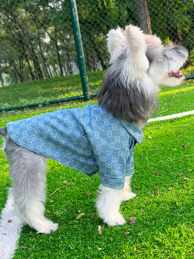 Pet Dog Snatched Clothes