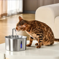 Stainless Steel Cat Water Fountain