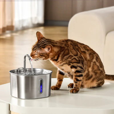 Stainless Steel Cat Water Fountain