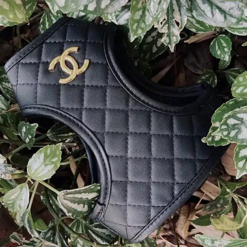 CC Black Step Harness With Leash Snatched Set