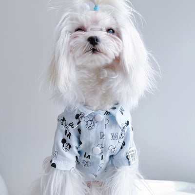 Big Dog Happy Summer Breeze Shirt