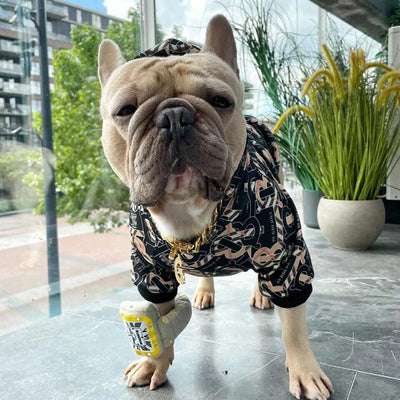 French Doodle Sweatshirt For Chic Crisp Canines