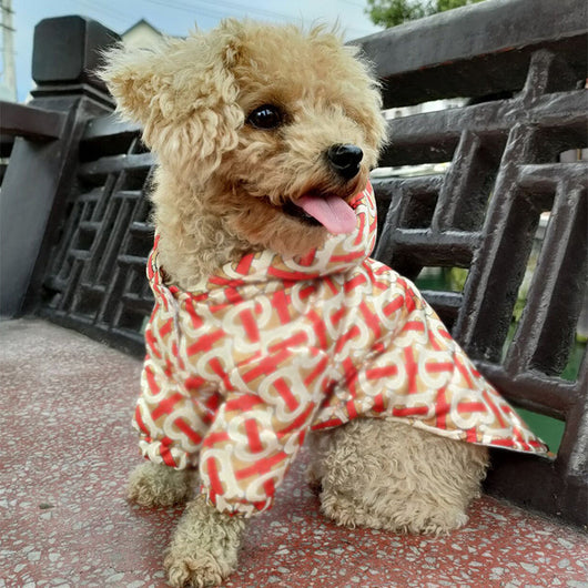 Luxury Cool Drip Crisp Jacket