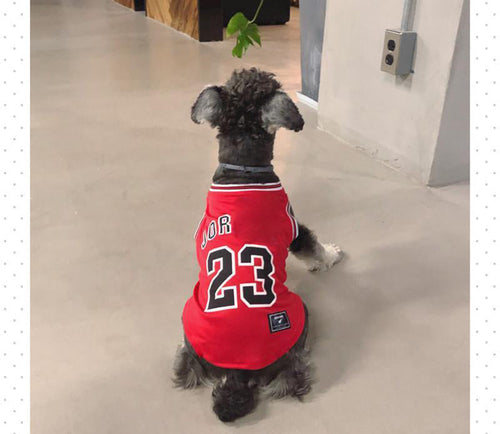 Legends Classic Doggo Whimsical Jersey