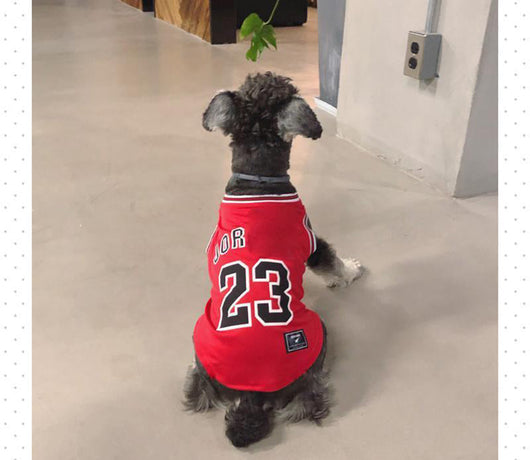 Legends Classic Doggo Whimsical Jersey