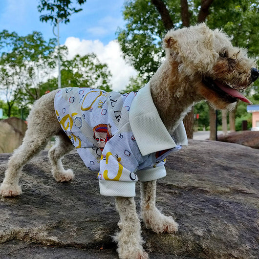 GG Summer Dear Doggo T Rewind Shirt