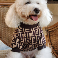 Big Dog Frosty Day Sweater